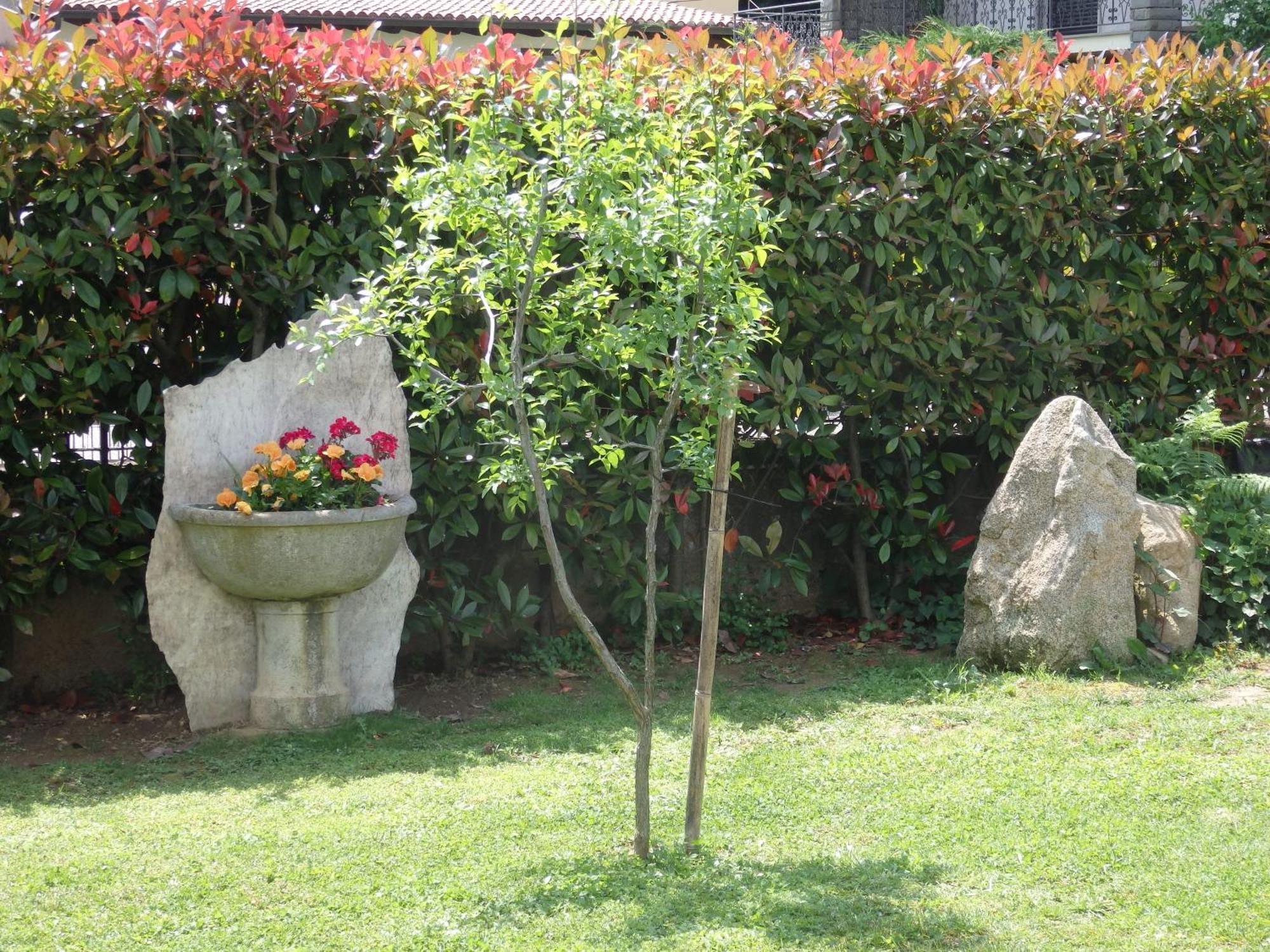 Riflessi D'Arte Bed & Breakfast โปรวาโย ดิเซโอ ภายนอก รูปภาพ